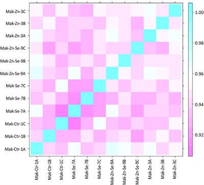 Rice Biofortification With Zinc and Selenium: A Transcriptomic Approach to Understand Mineral Accumulation in Flag Leaves